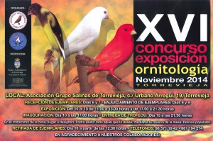 XVI Concurso exposición ornitología @ Salinas de Torrevieja | Torrevieja | Comunidad Valenciana | Espa