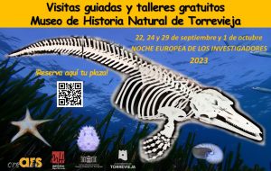 Visitas guiadas y talleres gratuitos. Museo de Historia Natural de Torrevieja @ Museo de Historia Natural